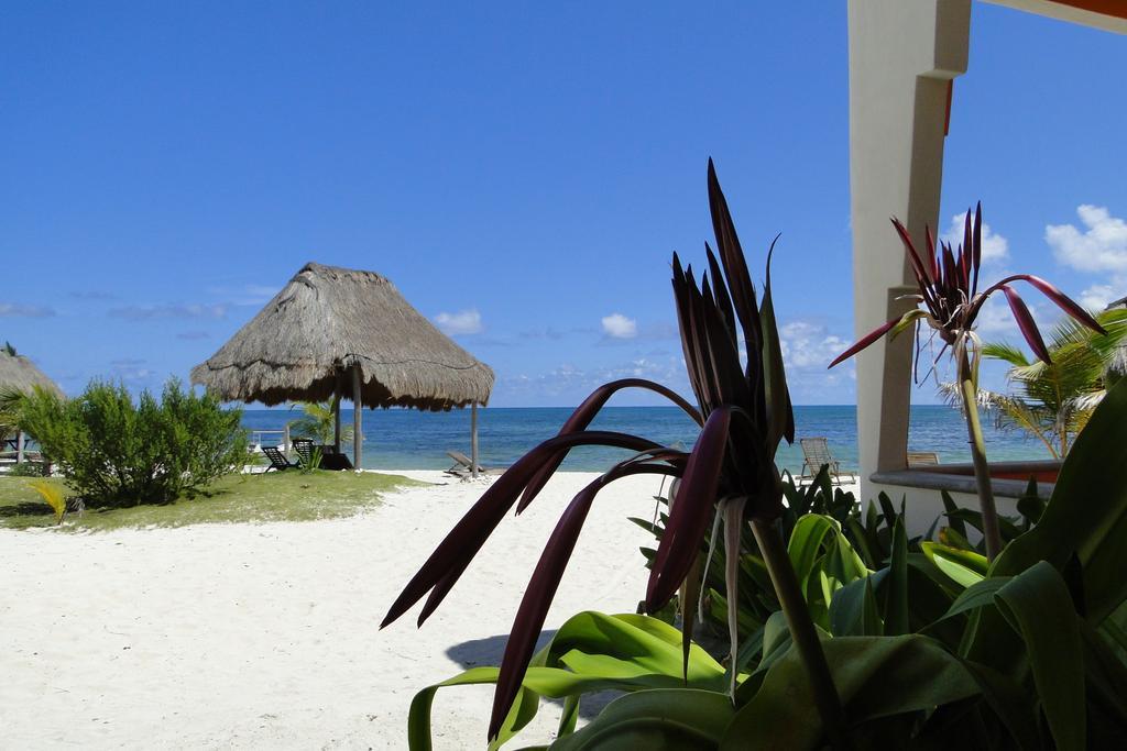 Mayan Beach Garden El Placer Екстер'єр фото