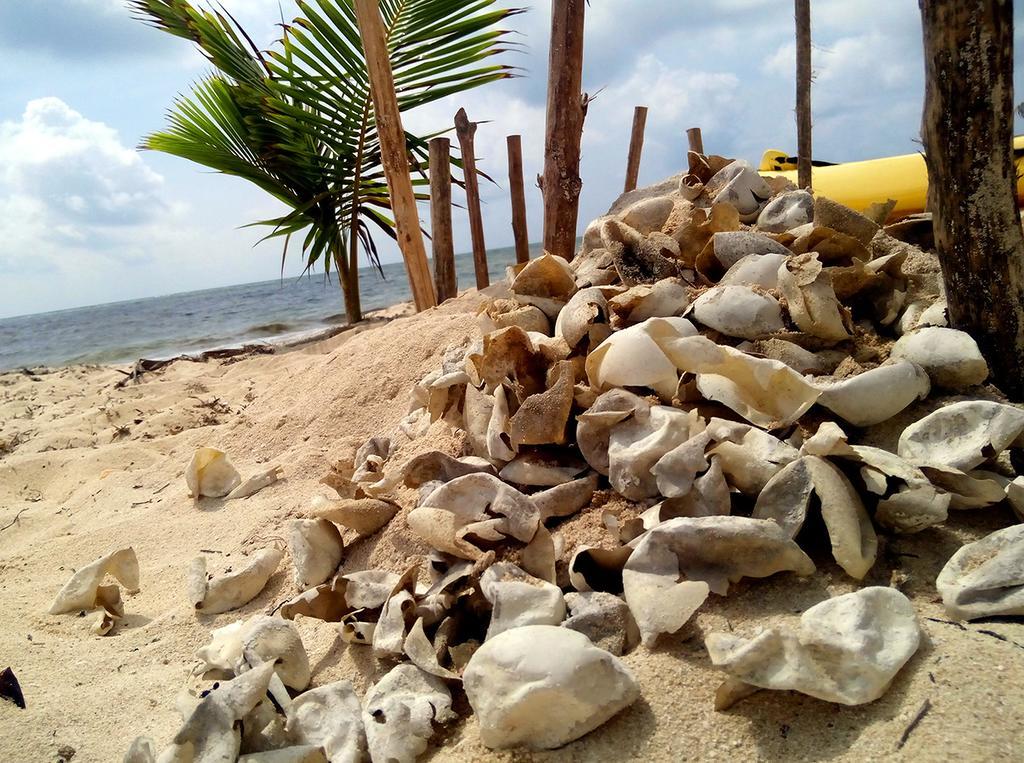 Mayan Beach Garden El Placer Екстер'єр фото